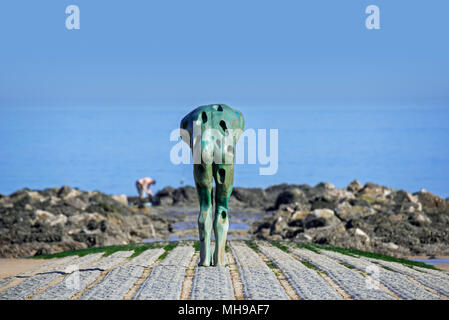 La scultura di domani l'uomo fatto dal mare da artista Catherine François su groyne lungo la costa del Mare del Nord in Knokke-Heist, Fiandre Occidentali, Belgio Foto Stock