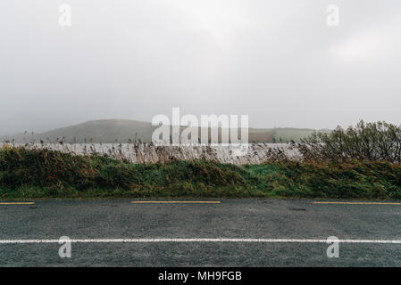 Bordo stradale riempito di giunchi contro il mare e Misty Mountains Foto Stock