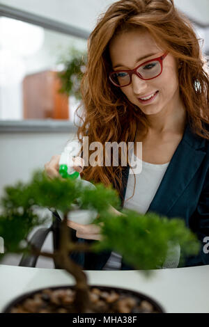 Azienda giovane donna che lavorano in ufficio e lei spruzza acqua su albero di bonsai e sorrisi. Foto Stock