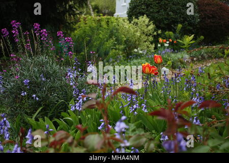 Un grazioso giardino scena ripresa nel sud dell Inghilterra proprio come i fiori cominciano a fiorire verso la fine di aprile. Foto Stock