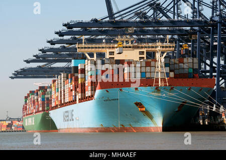 Morten Maersk Container ship, porto di Felixstowe, Suffolk, Regno Unito. Foto Stock