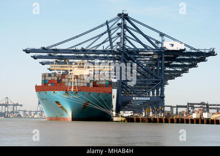 Posti barca 8 & 9, porto di Felixstowe, Suffolk, Regno Unito. Foto Stock