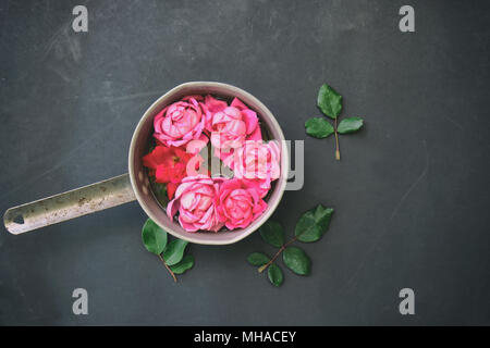 Romantica rosa rosa immagine mostra rose come composizioni floreali contro vintage sfondo nero. Foto Stock