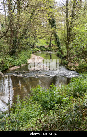 Il Sid del fiume che scorre attraverso il Byes, Sidmouth. Il Sid è uno di Inghilterra del minor fiumi, 6 miglia a lungo. Foto Stock