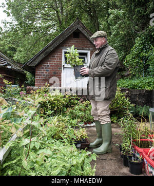 Professionale giardiniere al lavoro Foto Stock