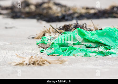 Verde foglio di plastica lavati fino a una spiaggia circondata da alghe marine un esempio dei molti pezzi di immondizia in mare in tutto il mondo Foto Stock