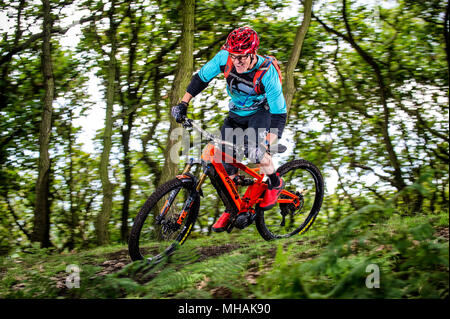 Un uomo che cavalca un pedale elettrico assistere e-bike a velocità attraverso il bosco. Foto Stock