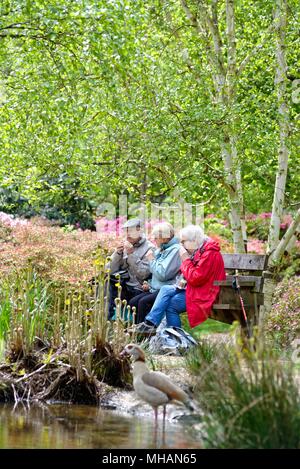 Tre persone anziane seduto sul sedile godendo di una soleggiata giornata di primavera nella piantagione di Isabella, il parco di Richmond Surrey in Inghilterra REGNO UNITO Foto Stock