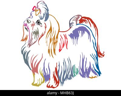 Contorno colorato decorativo di ritratto in piedi di profilo cane Maltese, vettore illustrazione isolato su sfondo bianco Illustrazione Vettoriale