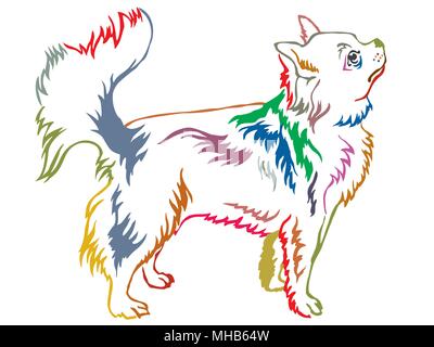 Contorno colorato ritratto decorativo di standing in profilo Longhaired Chihuahua, vettore illustrazione isolato su sfondo bianco Illustrazione Vettoriale