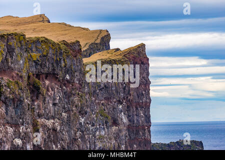 Scogliere Latrabjarg in Westfjords, Islanda Foto Stock