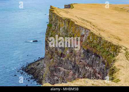 Scogliere Latrabjarg in Westfjords, Islanda Foto Stock