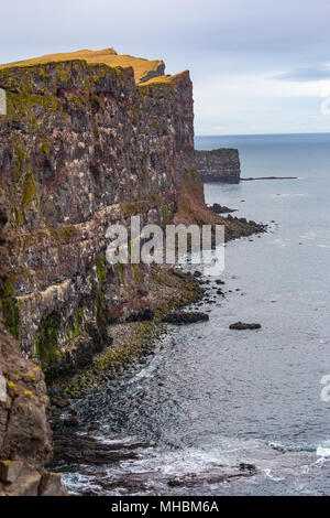 Scogliere Latrabjarg in Westfjords, Islanda Foto Stock