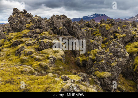 Berserkjahraun campo di lava nella penisola di Snaefellsnes, Islanda Foto Stock