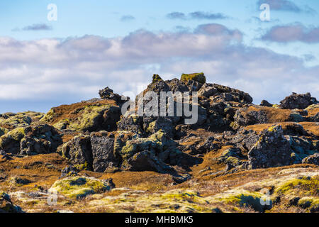 Di muschio campo di lava vicino alla città di Vik, Islanda Foto Stock