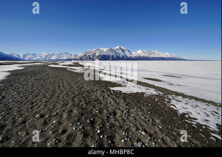 Congelati Lago Kluane in inverno, snow-capped montagna cresta sul retro pecore di montagna, Wyoming, Canada Foto Stock