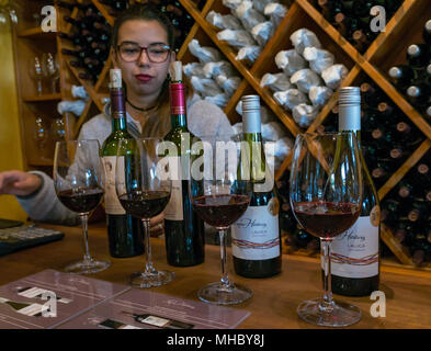 Degustazione di vino a Laura Hartwig Cantina Santa Cruz regione vinicola, Valle di Colchagua, Cile, Sud America, giovane donna servire il vino Foto Stock