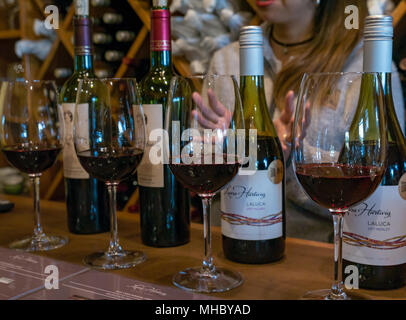 Degustazione di vino a Laura Hartwig Cantina Santa Cruz regione vinicola, Valle di Colchagua, Cile, Sud America, giovane donna servire il vino Foto Stock