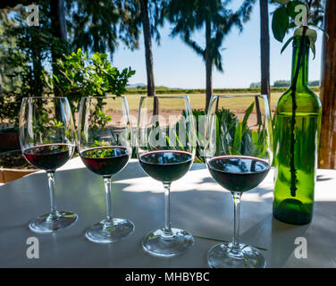 Degustazione di vino bicchieri, portico esterno, a Laura Hartwig Cantina Santa Cruz regione vinicola, Valle di Colchagua, Cile, Sud America Foto Stock