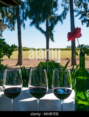 Degustazione di vino bicchieri, portico esterno, a Laura Hartwig Cantina Santa Cruz regione vinicola, Valle di Colchagua, Cile, Sud America Foto Stock