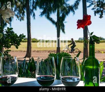 Degustazione di vino bicchieri, portico esterno, a Laura Hartwig Cantina Santa Cruz regione vinicola, Valle di Colchagua, Cile, con il dipendente passato in bicicletta Foto Stock