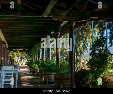 Veranda esterna a Laura Hartwig Cantina Santa Cruz regione vinicola, Valle di Colchagua, Cile, Sud America Foto Stock