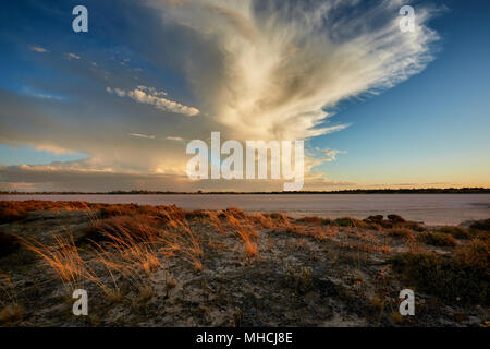 Tipico semi-arido paesaggio del nord del Victoria, Australia. Asciugare Salt Lake, la sabbia e la vegetazione rada. Foto Stock