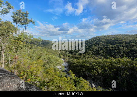 Vista panoramica della Davies Creek Falls valle visto dal Belvedere, Davies Creek National Park vicino a Mareeba Aeroporto, estremo Nord Queensland, FNQ, QLD, Australia Foto Stock