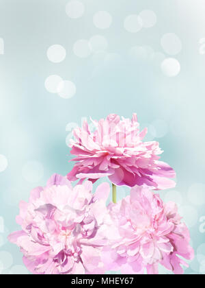 Bouquet di peonie rosa su sfondo verde chiaro. Tre le peonie sullo sfondo a strisce. Sfondo femminile per 8 Marzo, Festa della Mamma, San Valentino, matrimonio del giorno Foto Stock