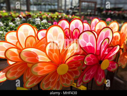 Decorativi fiori artificiali a nurserytr Foto Stock