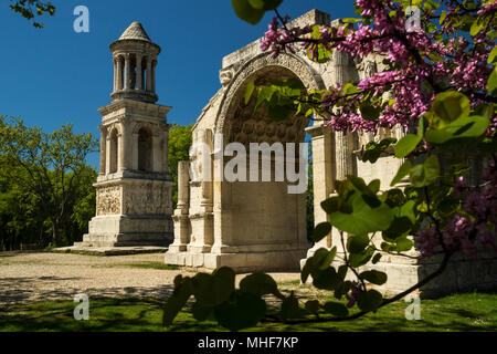 Arco romano del sito histoc di Glanum, vicino alla città francese di Saint-Remy-de-Provence. Estate fiori di colore rosa in primo piano e il marmo mausoleu Foto Stock