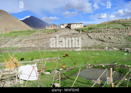 Una casa in un bellissimo paesaggio di cielo blu, montagne, arcobaleno, terreno di erba verde, stagno e animale nel ladakh himalaya kashmir india Foto Stock