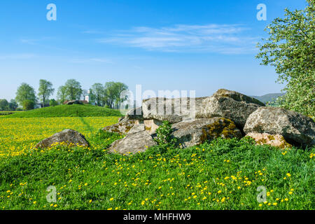 Tomba di passaggio con la fioritura di tarassaco in una zona rurale Paesaggio estivo Foto Stock