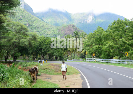 Ghati occidentali nel villaggio Tamil Nadu e l'autostrada nazionale al confine con l'India del Tamil Nadu Kerala Foto Stock