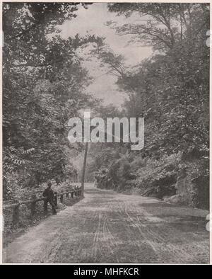 Wissahickon Drive, Fairmount Park Philadelphia - 'Tutto lavoro e niente divertimento rende Jack un ragazzo sordo." Foto Stock