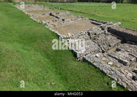 Inghilterra, Oxfordshire, North Leigh villa romana Foto Stock