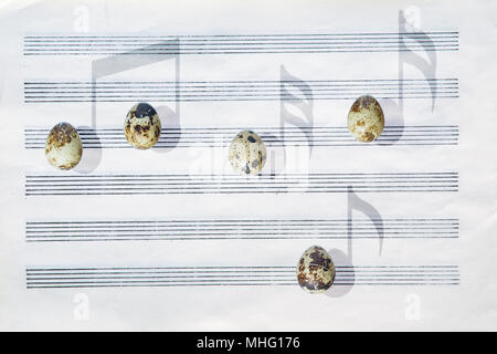 Giapponese uova di quaglia nella parte anteriore di uno sbozzato 6-doga carta da musica sono ombre di colata in forma di note musicali. Foto Stock