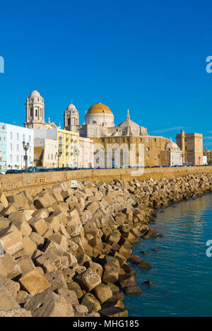 Cattedrale e altri edifici su Avenue Campo del Sur, Cadice, Andalusia, Spagna Foto Stock