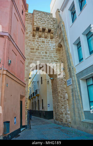 Arco de la Rosa, Plaza de la cattedrale, il centro storico di Cadice, Andalusia, Spagna Foto Stock