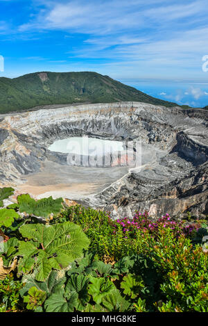 Vulcano Poas in Costa Rica Foto Stock