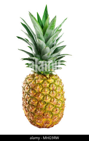 Unico ananas isolate su uno sfondo bianco. Foto Stock