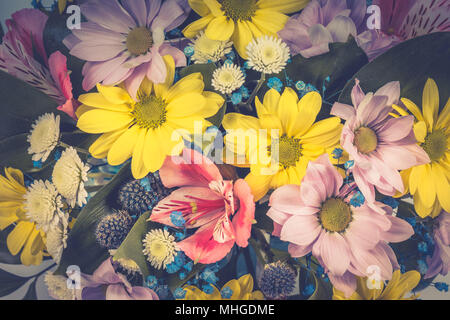 Chamomiles, gerbere e altri fiori come sfondo o uno sfondo Immagine dai toni Foto Stock