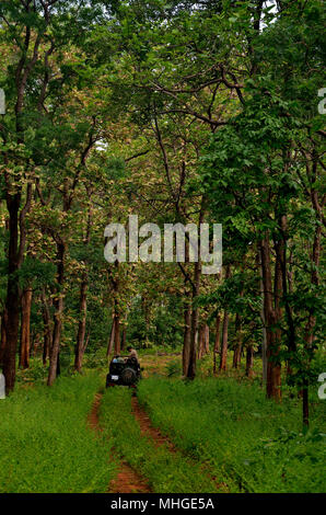 Safari in veicolo Tadoba-andhari riserva della tigre Foto Stock