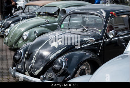 01 maggio 2018, Germania, Hannover: Vecchia VW Maggiolini durante la trentacinquesima 'Mia della Kaefer Treffen' ('May Beetle soddisfare') di Hannover. Gli amanti della Volkswagen Classic soddisfano ogni 1 maggio dal 1983. Foto: Peter Steffen/dpa Foto Stock