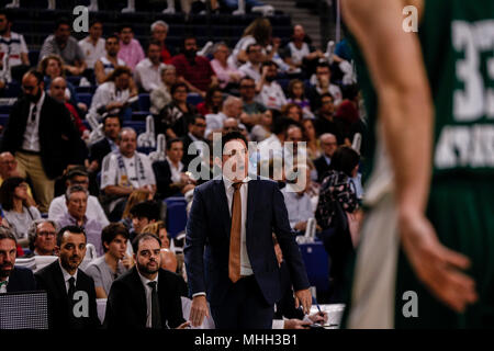 Centro Wizink, Madrid, Spagna. Xxv Aprile, 2018. La Turkish Airlines Eurolega di basket, Real Madrid Baloncesto contro il Panathinaikos Superfoods Atene; Xavi Pascual allenatore del Panathinaikos BC Credito: Azione Sport Plus/Alamy Live News Foto Stock