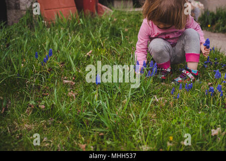 Una bambina tiene un bouquet di giacinti viola i fiori in primavera. Foto Stock
