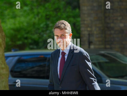 Il segretario di Stato per la difesa, Gavin Williamson, arriva a Downing Street per una riunione del gabinetto Foto Stock