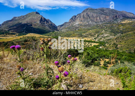 Panoramica paesaggio montuoso di Creta meridionale vicino Lefkogeia con fiori viola in primo piano Foto Stock