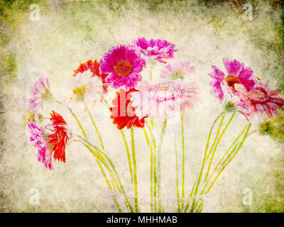 Fiore a margherita gerbera mazzo di fiori in un vaso su sfondo grunge Foto Stock