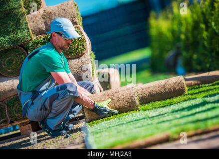 Tappeto erboso nuova installazione di erba da professionale giardiniere. Rotoli di erba sul cortile. Foto Stock